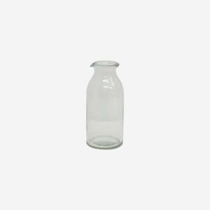 Clear Bottle Vase Short