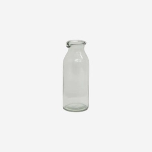 Clear Bottle Vase Tall