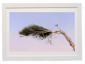 “Against the Wind ” Framed Giclee by Peter Geen