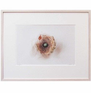 Homewares: ” Duckegg Blue” Framed Giclee limited Edition by Janine Ross-Johnstone