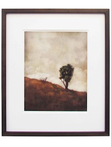 “Up Country” Framed Photographic Giclee Limited Edition by Brenda Qualls