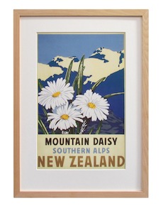 New Zealand Vintage Travel Poster “Mountain Daisy”