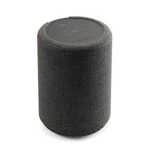 Audio Pro G10 Multiroom speaker with Google Assistant and AirPlay 2, Dark Grey