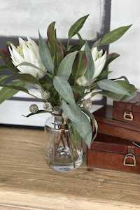 Native Protea Mix-Pauline Vase