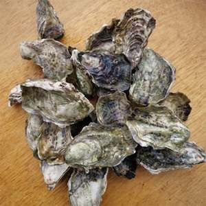 Sack, Mixed Pack Fresh Mahurangi Oysters