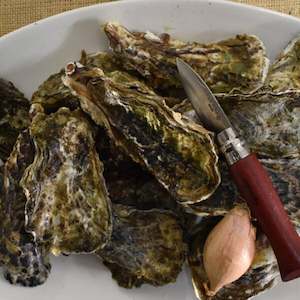 Jumbo Fresh Mahurangi Oysters