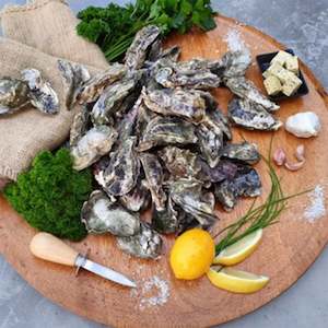 Oyster farming: Party Pack Fresh Mahurangi Oysters