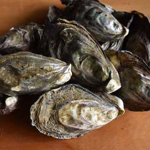 Oyster farming: Small (Cocktail) Fresh Mahurangi Oysters