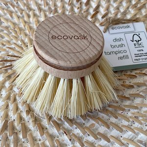 Ecovask - Replacement Dish Brush Head - Tampico