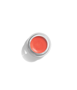 Makeup Skincare: Aleph Cheek / Lip Tint