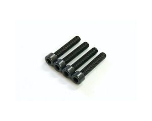 Cooling Head Screw (4pcs)