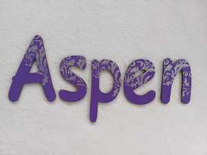 Door name: Aspen - small letters suitable for a door.