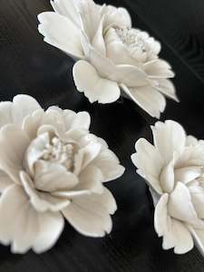 Decorative Objects: Peony Wall Flowers