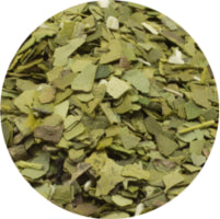 Tea manufacturing: Yerba Mate