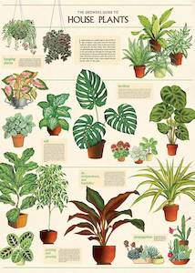 Cavallini & Co | Wrap or Print | House Plants