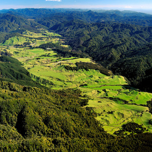 Donations/Koha for Tuawhenua Forest Fund