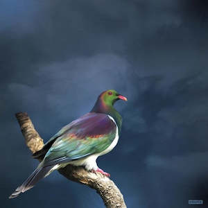 Soft furnishing: King Kereru