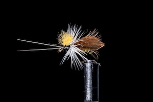 Lacemoth Fishing Fly | Manic Fly Collection