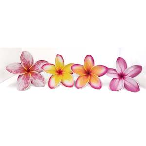 Frangipani (New Designs)