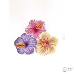 Gift: Hibiscus Sei (Large)