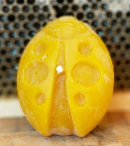 Lady bug beeswax candle