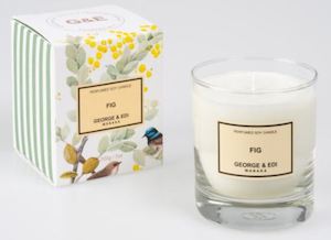 Standard Candle – Fig