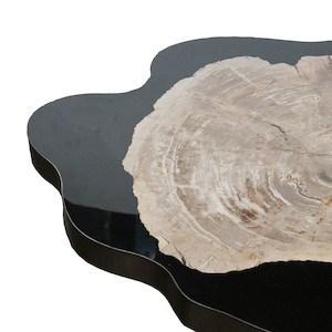 Petrified Wood Coffee Table