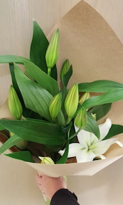 Florist: White Lilys or Pink Oriental Lilys