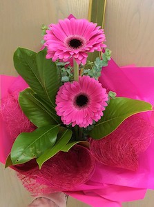 Simply Gerberas