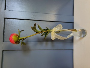 Single Peonie bloom in Glass bud vase