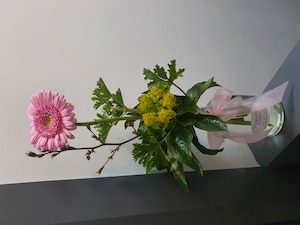 Single Mini Gerbera in Jar