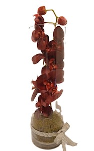 Florist: Fabric Phalanopsis Orchid in Glass