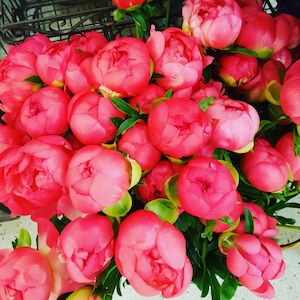 Florist: Peonies