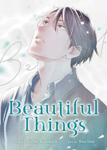 Books: BEAUTIFUL THINGS