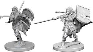 PATHFINDER BATTLES DEEP CUTS UNPAINTED MINI: HUMAN PALADIN (FEMALE)