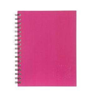 Notebooks Pads: Spirax 512 hard cover book a4 200 page pink