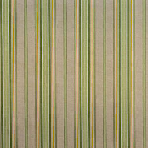 Algae Stripe