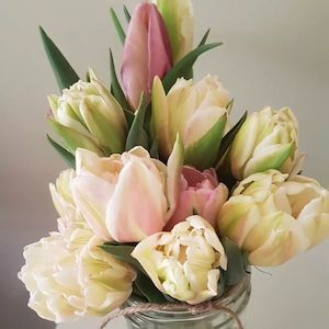 Tulips – choose your bunch size, and by the stem