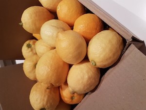 Products: Lemon box