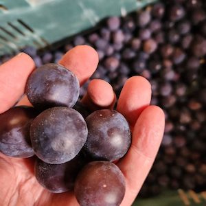 Damson plums