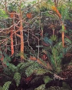 Creative art: Coromandel Bush by Ronda Thompson