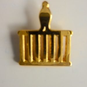 SGRACNZ – Lapel pin