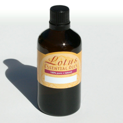 Lotus Apricot Kernel 100ml - Max Health