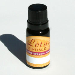 Lotus Basil EO 10ml - Max Health