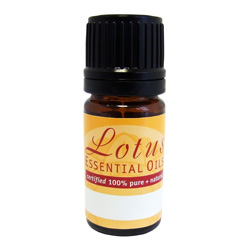 Lotus Chamomile German 5ml - Max Health