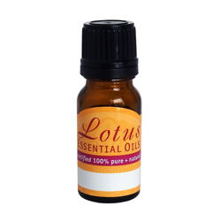 Lotus Clove Oil EO 10ml - Max Health