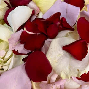 Rose Petals