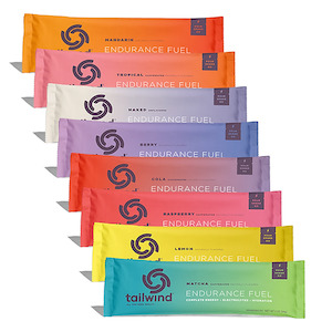 Tailwind Endurance Fuel Sticks