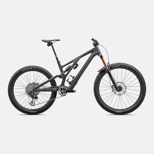 S-Works Stumpjumper EVO T-Type