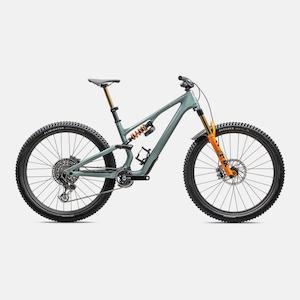 Bicycle and accessory: S-Works Stumpjumper 15 LTD - FOX DHX Live Valve Neo